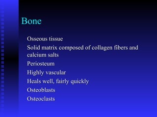Bone
Osseous tissueOsseous tissue
Solid matrix composed of collagen fibers andSolid matrix composed of collagen fibers and
calcium saltscalcium salts
PeriosteumPeriosteum
Highly vascularHighly vascular
Heals well, fairly quicklyHeals well, fairly quickly
OsteoblastsOsteoblasts
OsteoclastsOsteoclasts
 