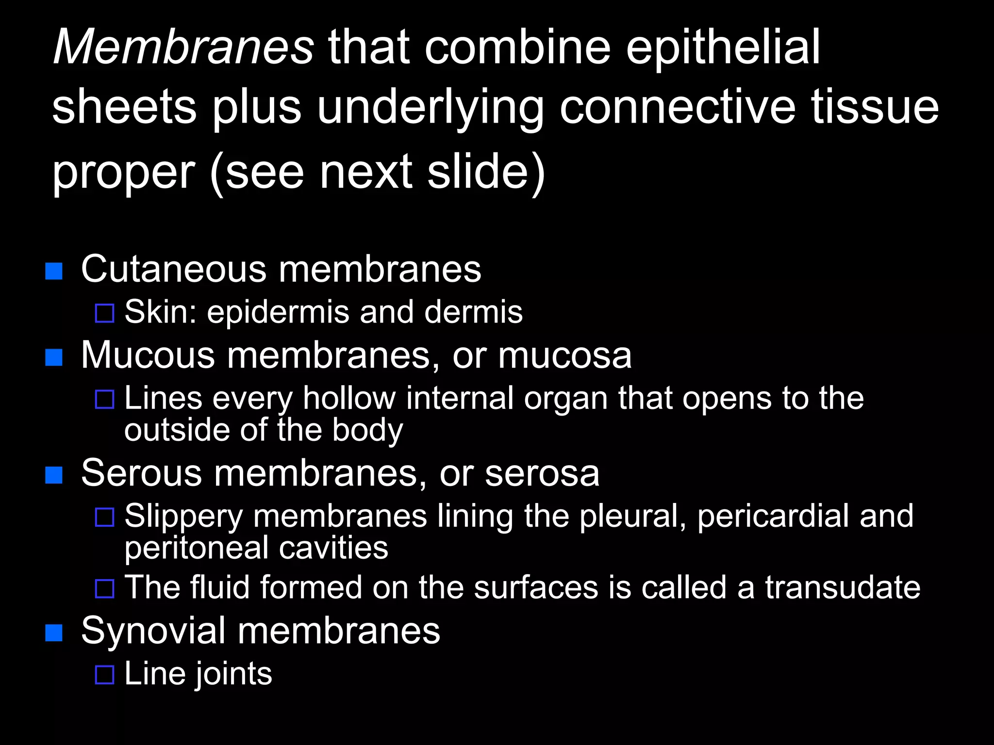Membranes that combine epithelial
sheets plus underlying connective tissue
proper (see next slide)
 Cutaneous membranes
 Skin: epidermis and dermis
 Mucous membranes, or mucosa
 Lines every hollow internal organ that opens to the
outside of the body
 Serous membranes, or serosa
 Slippery membranes lining the pleural, pericardial and
peritoneal cavities
 The fluid formed on the surfaces is called a transudate
 Synovial membranes
 Line joints
 