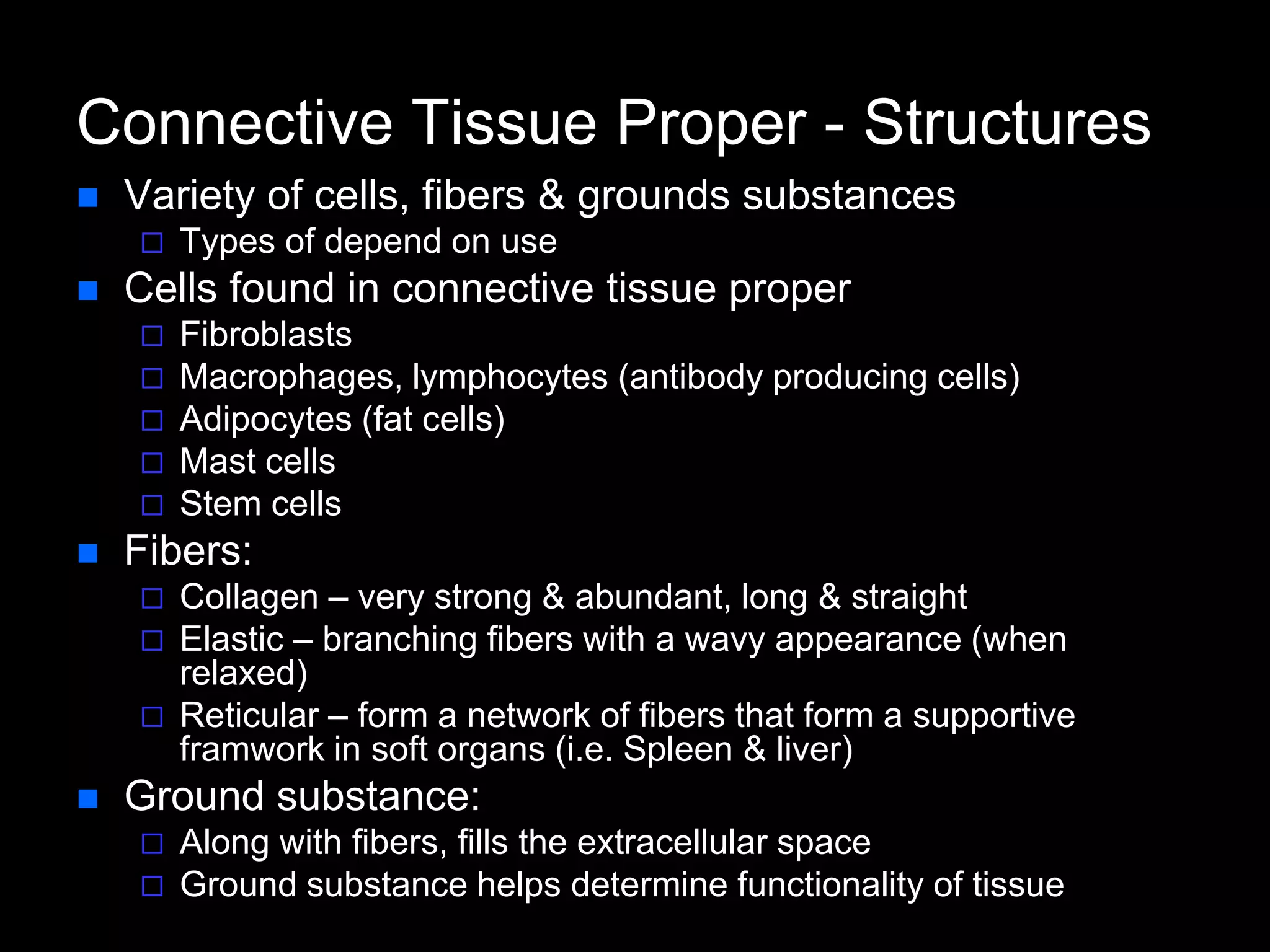 Connective Tissue Proper - Structures
 Variety of cells, fibers & grounds substances
 Types of depend on use
 Cells found in connective tissue proper
 Fibroblasts
 Macrophages, lymphocytes (antibody producing cells)
 Adipocytes (fat cells)
 Mast cells
 Stem cells
 Fibers:
 Collagen – very strong & abundant, long & straight
 Elastic – branching fibers with a wavy appearance (when
relaxed)
 Reticular – form a network of fibers that form a supportive
framwork in soft organs (i.e. Spleen & liver)
 Ground substance:
 Along with fibers, fills the extracellular space
 Ground substance helps determine functionality of tissue
 