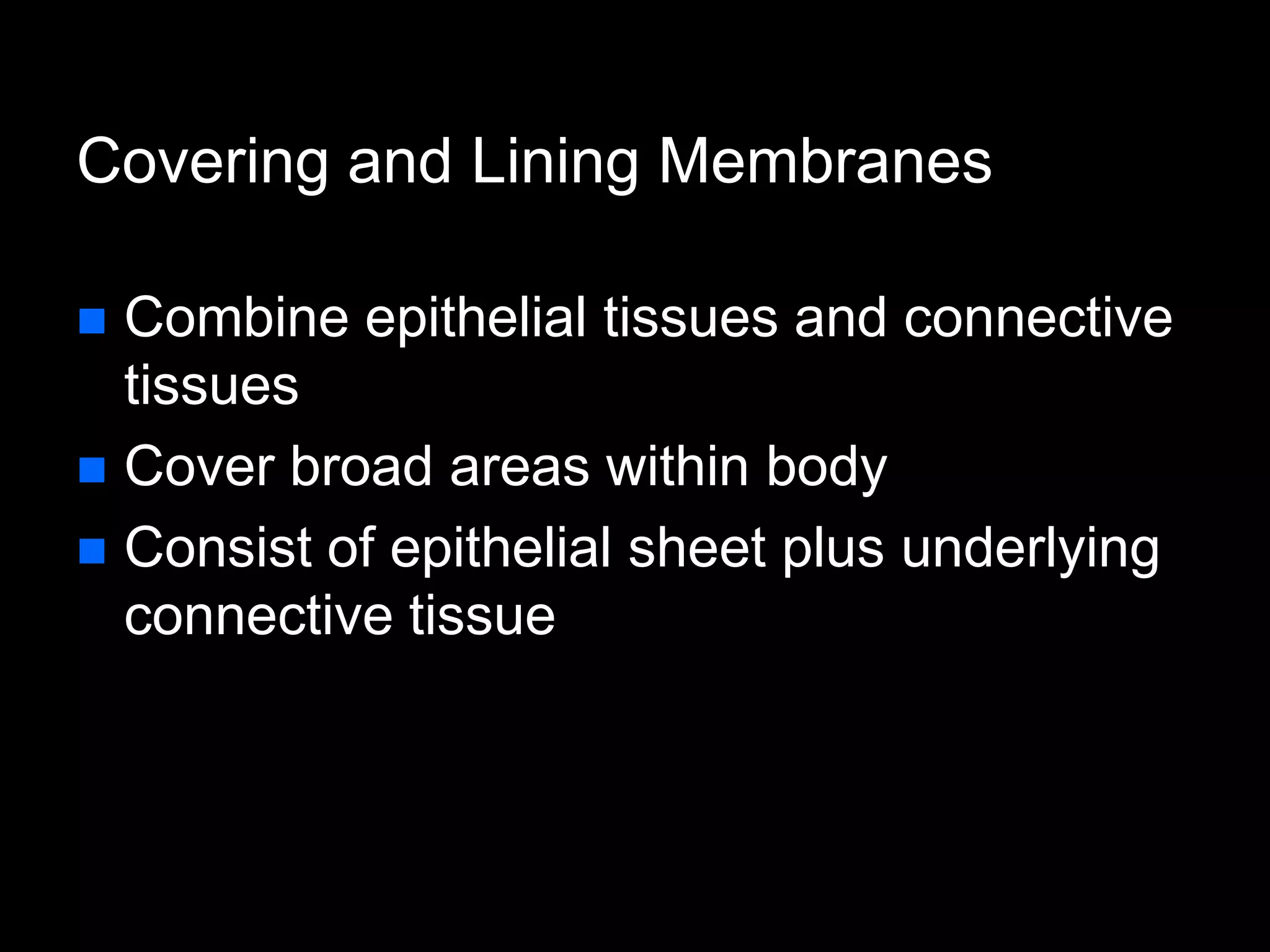 Covering and Lining Membranes
 Combine epithelial tissues and connective
tissues
 Cover broad areas within body
 Consist of epithelial sheet plus underlying
connective tissue
 