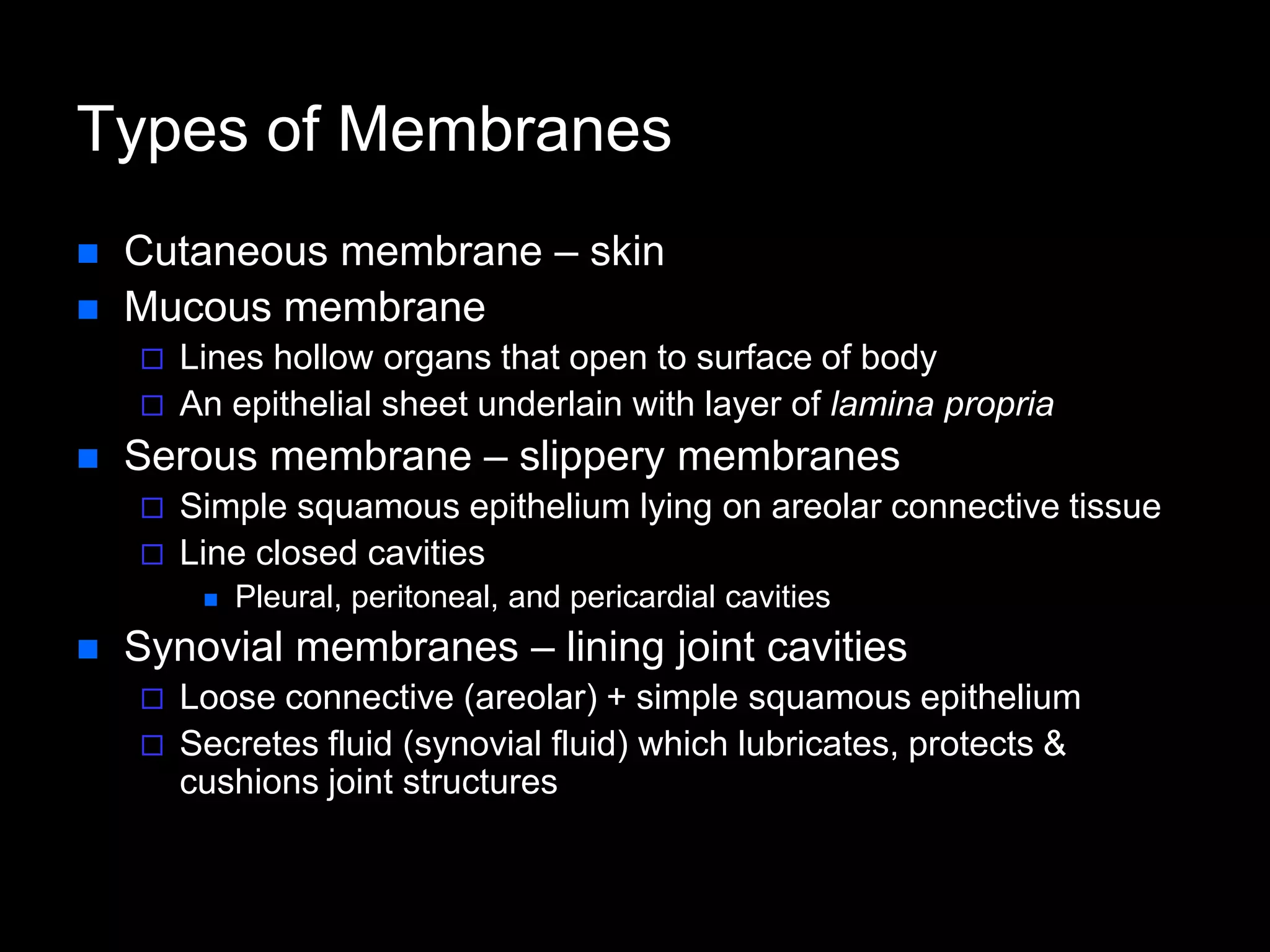 Types of Membranes
 Cutaneous membrane – skin
 Mucous membrane
 Lines hollow organs that open to surface of body
 An epithelial sheet underlain with layer of lamina propria
 Serous membrane – slippery membranes
 Simple squamous epithelium lying on areolar connective tissue
 Line closed cavities
 Pleural, peritoneal, and pericardial cavities
 Synovial membranes – lining joint cavities
 Loose connective (areolar) + simple squamous epithelium
 Secretes fluid (synovial fluid) which lubricates, protects &
cushions joint structures
 
