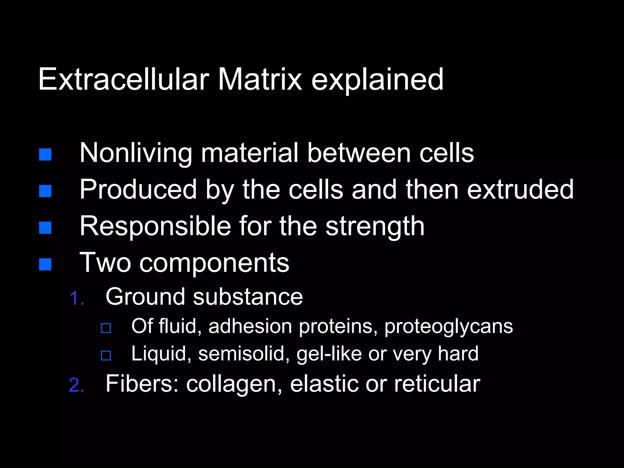 Extracellular Matrix explained
 Nonliving material between cells
 Produced by the cells and then extruded
 Responsible for the strength
 Two components
1. Ground substance
 Of fluid, adhesion proteins, proteoglycans
 Liquid, semisolid, gel-like or very hard
2. Fibers: collagen, elastic or reticular
 