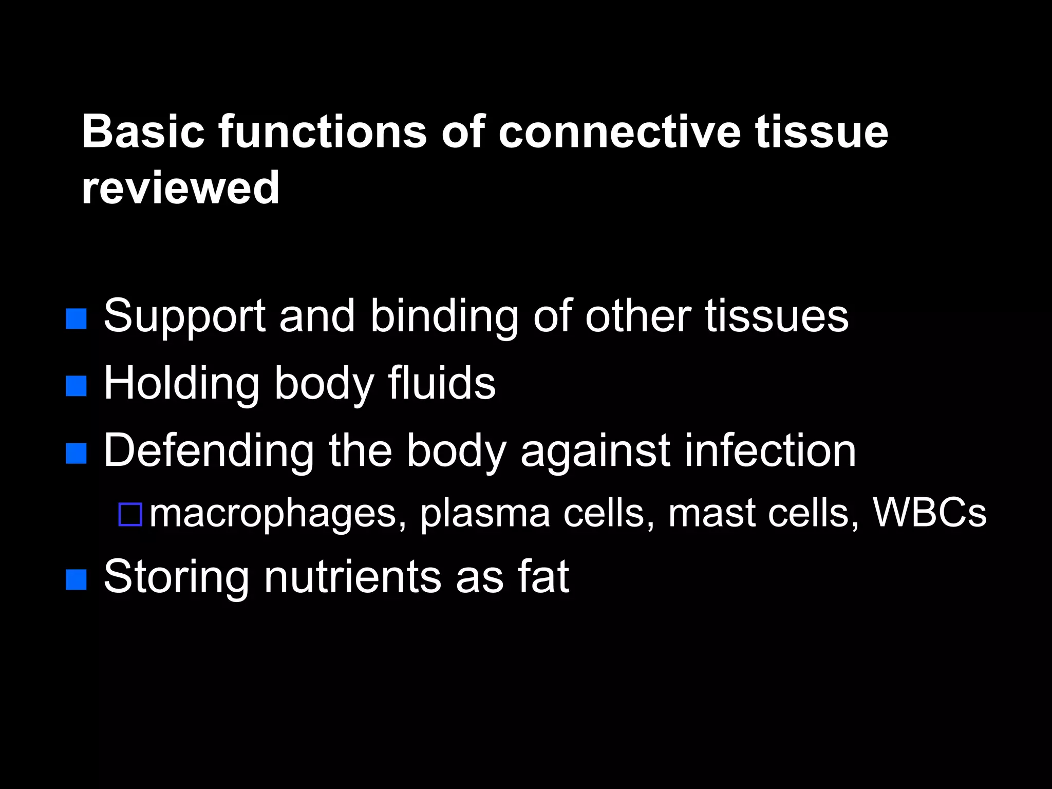 Basic functions of connective tissue
reviewed
 Support and binding of other tissues
 Holding body fluids
 Defending the body against infection
macrophages, plasma cells, mast cells, WBCs
 Storing nutrients as fat
 