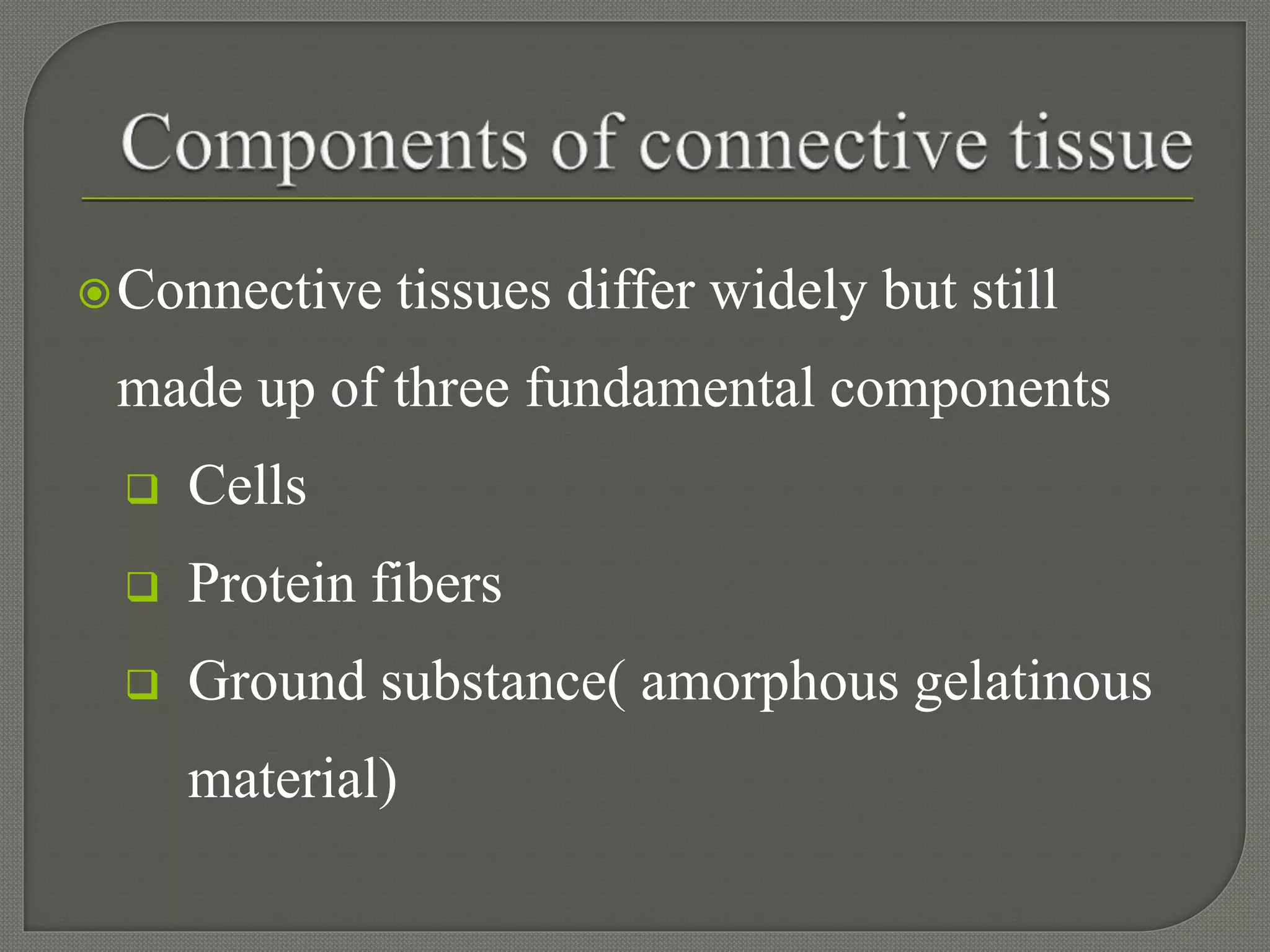 Connective tissues differ widely but still
made up of three fundamental components
 Cells
 Protein fibers
 Ground substance( amorphous gelatinous
material)
 