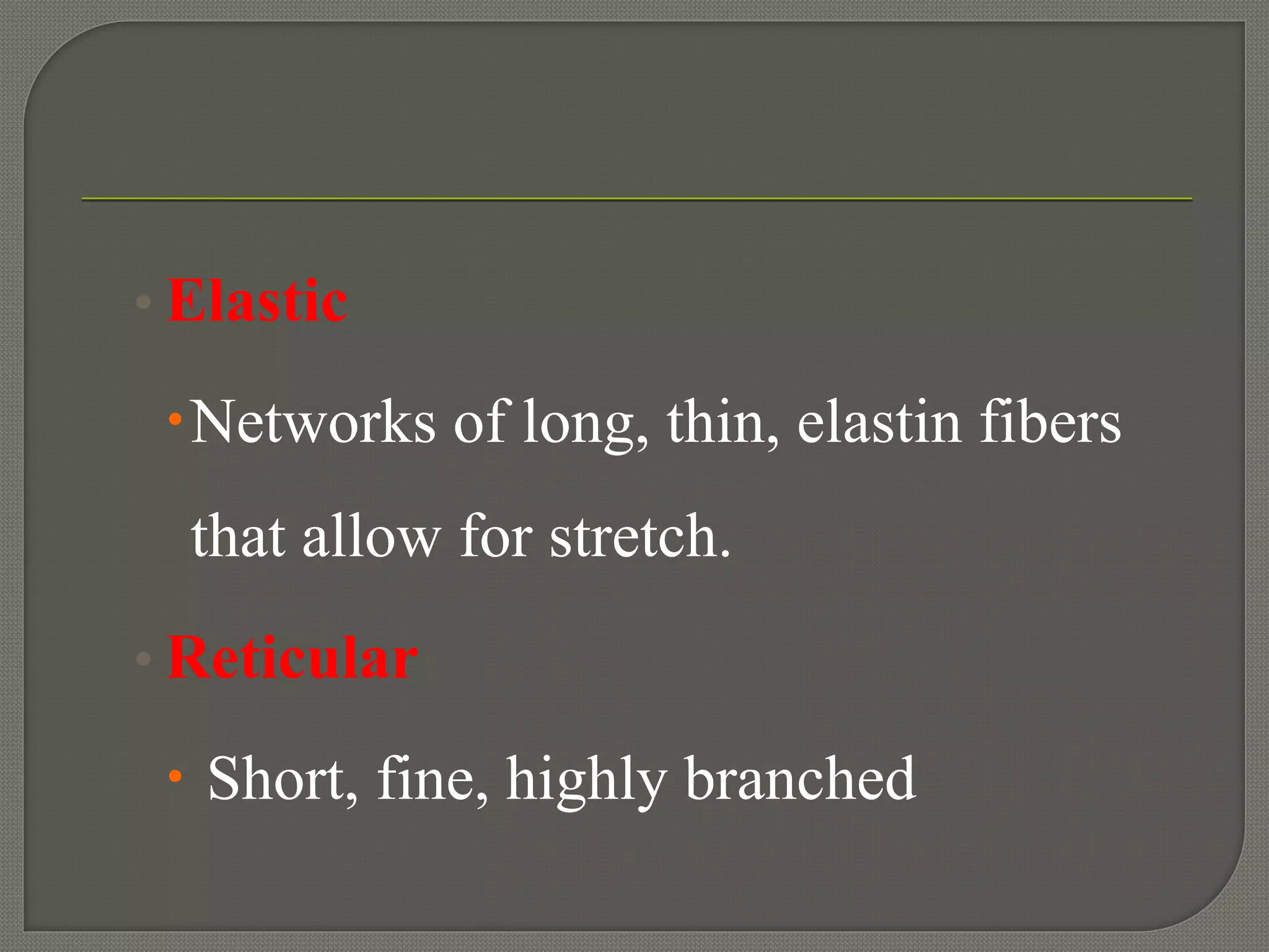 • Elastic
Networks of long, thin, elastin fibers
that allow for stretch.
• Reticular
 Short, fine, highly branched
 