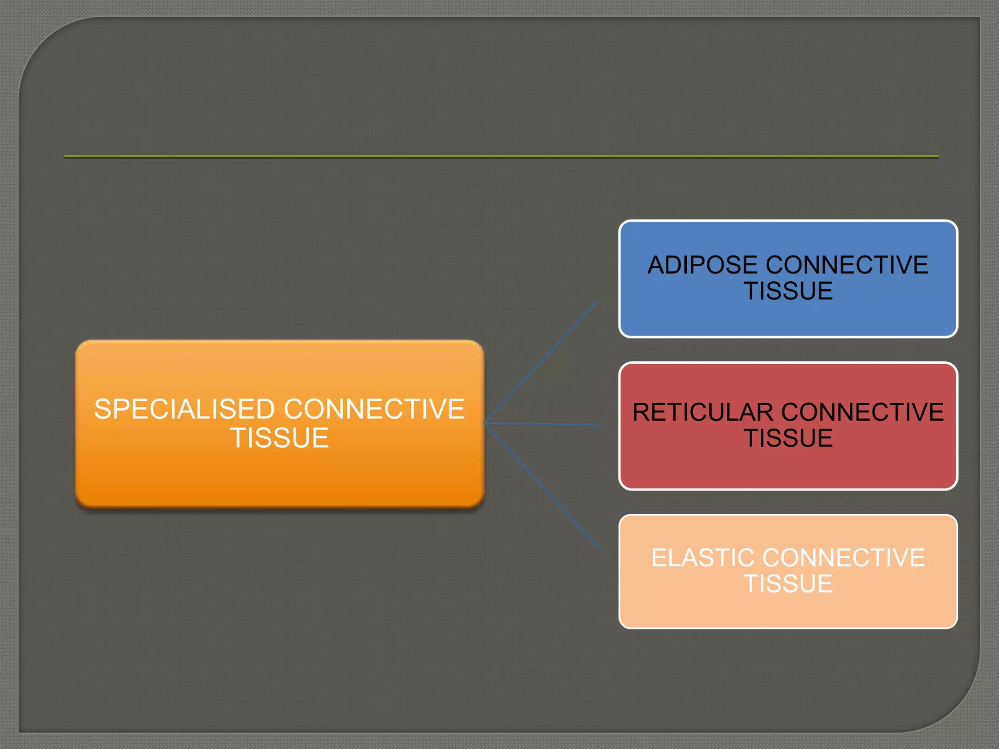 SPECIALISED CONNECTIVE
TISSUE
ADIPOSE CONNECTIVE
TISSUE
RETICULAR CONNECTIVE
TISSUE
ELASTIC CONNECTIVE
TISSUE
 