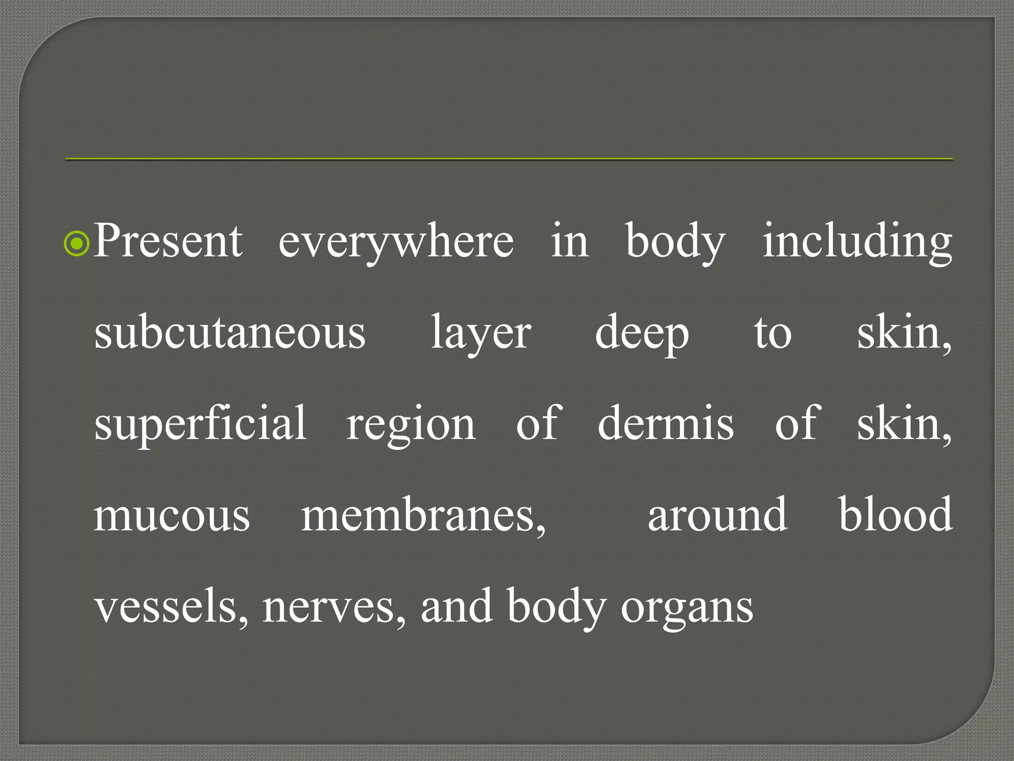 Present everywhere in body including
subcutaneous layer deep to skin,
superficial region of dermis of skin,
mucous membranes, around blood
vessels, nerves, and body organs
 