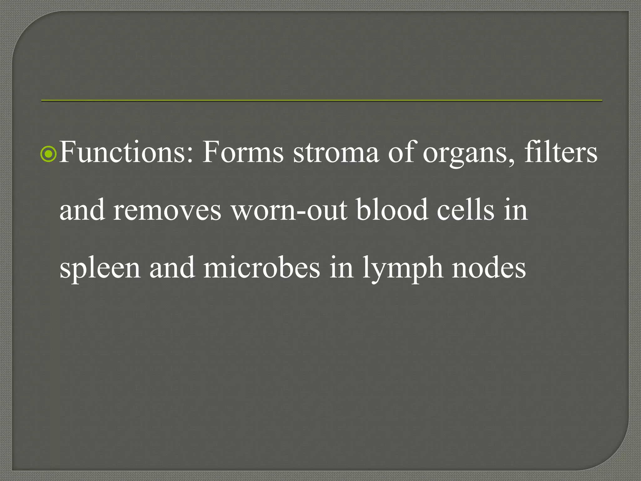 Functions: Forms stroma of organs, filters
and removes worn-out blood cells in
spleen and microbes in lymph nodes
 
