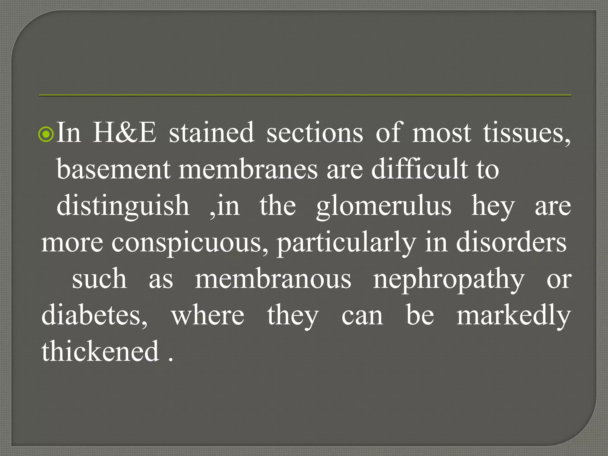 In H&E stained sections of most tissues,
basement membranes are difficult to
distinguish ,in the glomerulus hey are
more conspicuous, particularly in disorders
such as membranous nephropathy or
diabetes, where they can be markedly
thickened .
 