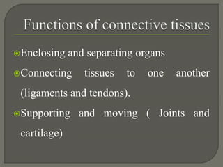Connecting Organs Connective tissues | PPTX