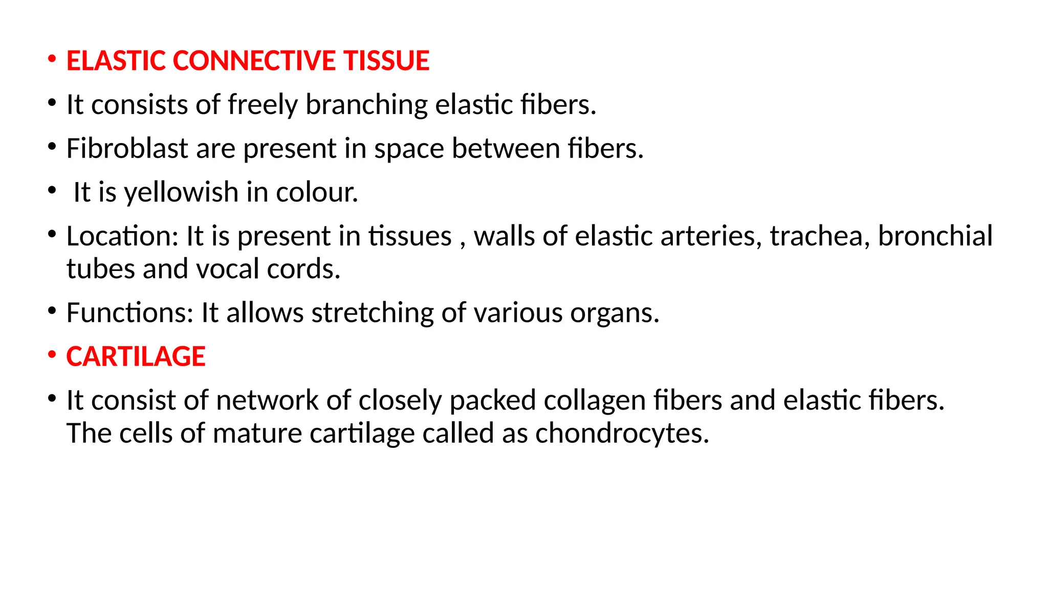 • ELASTIC CONNECTIVE TISSUE
• It consists of freely branching elastic fibers.
• Fibroblast are present in space between fibers.
• It is yellowish in colour.
• Location: It is present in tissues , walls of elastic arteries, trachea, bronchial
tubes and vocal cords.
• Functions: It allows stretching of various organs.
• CARTILAGE
• It consist of network of closely packed collagen fibers and elastic fibers.
The cells of mature cartilage called as chondrocytes.
 