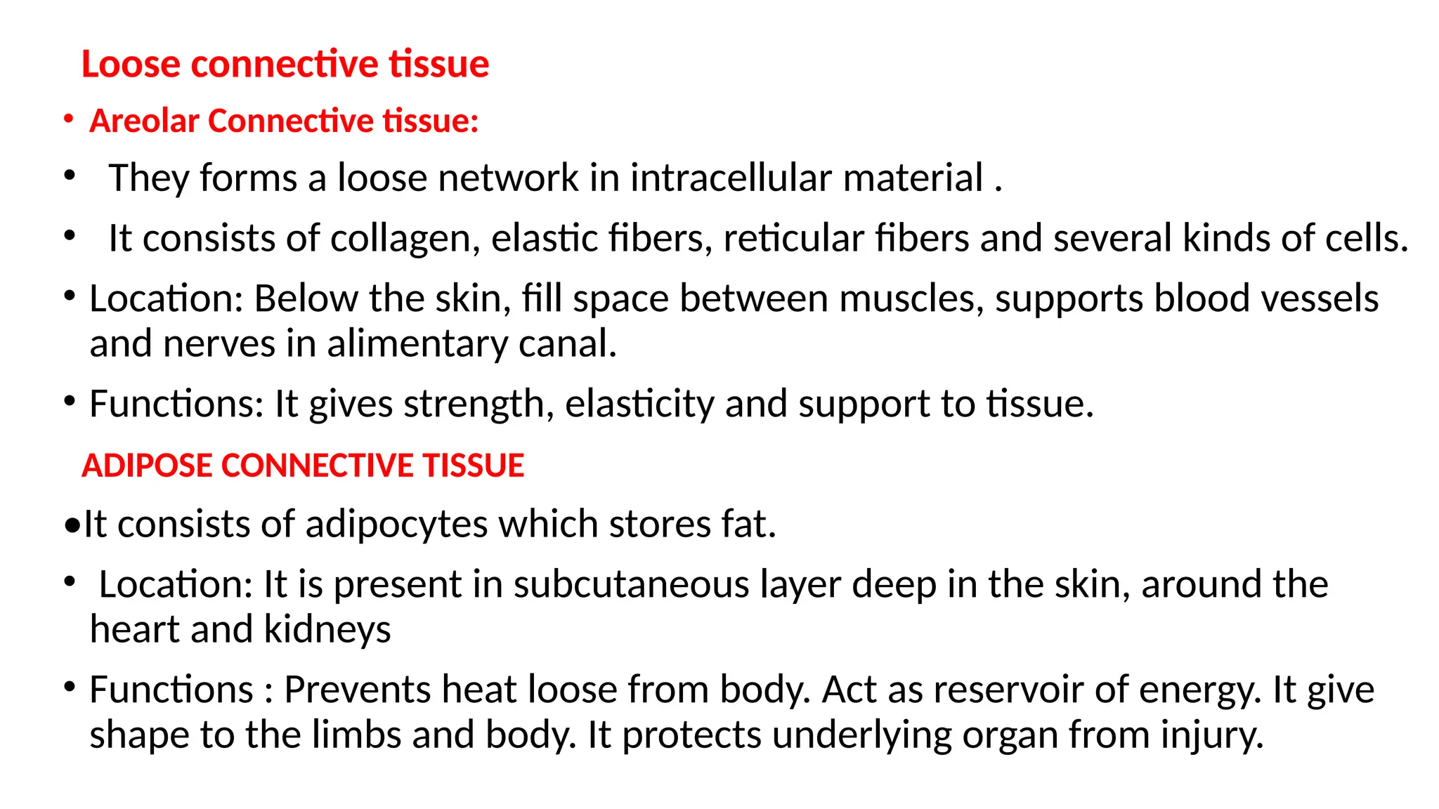 Loose connective tissue
• Areolar Connective tissue:
• They forms a loose network in intracellular material .
• It consists of collagen, elastic fibers, reticular fibers and several kinds of cells.
• Location: Below the skin, fill space between muscles, supports blood vessels
and nerves in alimentary canal.
• Functions: It gives strength, elasticity and support to tissue.
ADIPOSE CONNECTIVE TISSUE
•It consists of adipocytes which stores fat.
• Location: It is present in subcutaneous layer deep in the skin, around the
heart and kidneys
• Functions : Prevents heat loose from body. Act as reservoir of energy. It give
shape to the limbs and body. It protects underlying organ from injury.
 