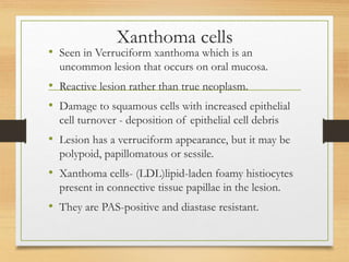 Xanthoma cells
• Seen in Verruciform xanthoma which is an
uncommon lesion that occurs on oral mucosa.
• Reactive lesion rather than true neoplasm.
• Damage to squamous cells with increased epithelial
cell turnover - deposition of epithelial cell debris
• Lesion has a verruciform appearance, but it may be
polypoid, papillomatous or sessile.
• Xanthoma cells- (LDL)lipid-laden foamy histiocytes
present in connective tissue papillae in the lesion.
• They are PAS-positive and diastase resistant.
 