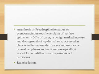 • Acanthosis or Pseudoepitheliomatous or
pseudocarcinomatous hyperplasia of surface
epithelium - 50% of cases, a benign marked increase
and downgrowth of epidermal cells, observed in
chronic inflammatory dermatoses and over some
dermal neoplasms and nevi; microscopically, it
resembles well-differentiated squamous cell
carcinoma
• Reactive lesion.
 