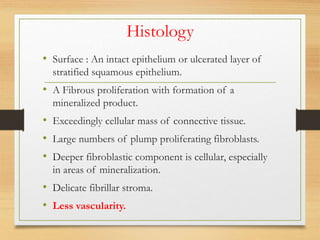 Histology
• Surface : An intact epithelium or ulcerated layer of
stratified squamous epithelium.
• A Fibrous proliferation with formation of a
mineralized product.
• Exceedingly cellular mass of connective tissue.
• Large numbers of plump proliferating fibroblasts.
• Deeper fibroblastic component is cellular, especially
in areas of mineralization.
• Delicate fibrillar stroma.
• Less vascularity.
 