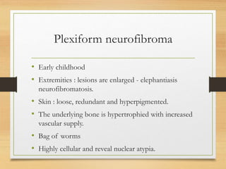 Plexiform neurofibroma
• Early childhood
• Extremities : lesions are enlarged - elephantiasis
neurofibromatosis.
• Skin : loose, redundant and hyperpigmented.
• The underlying bone is hypertrophied with increased
vascular supply.
• Bag of worms
• Highly cellular and reveal nuclear atypia.
 