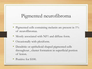 Pigmented neurofibroma
• Pigmented cells containing melanin are present in 1%
of neurofibromas.
• Mostly associated with NF1 and diffuse form.
• Occasionally with plexiform.
• Dendritic or epithelioid shaped pigmented cells
throughout , cluster formation in superficial portion
of lesion.
• Positive for S100.
 