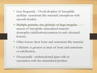 • Less frequently - Ovoid droplets of basophilic
acellular cementum like material( amorphous with
smooth border).
• Multiple granules, tiny globules or large irregular
masses of basophilic mineralized material -
dystrophic calcification(common in early ulcerated
lesions).
• Older lesions show bone and cementum like material.
• Cellularity is greatest at areas of bone and cementum
or calcification.
• Occasionally : multinucleated giant cells in
association with the mineralized product.
 