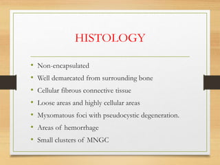 HISTOLOGY
• Non-encapsulated
• Well demarcated from surrounding bone
• Cellular fibrous connective tissue
• Loose areas and highly cellular areas
• Myxomatous foci with pseudocystic degeneration.
• Areas of hemorrhage
• Small clusters of MNGC
 
