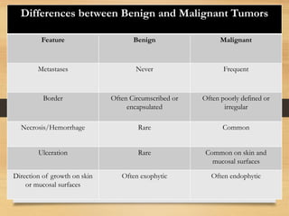Differences between Benign and Malignant Tumors
Feature Benign Malignant
Metastases Never Frequent
Border Often Circumscribed or
encapsulated
Often poorly defined or
irregular
Necrosis/Hemorrhage Rare Common
Ulceration Rare Common on skin and
mucosal surfaces
Direction of growth on skin
or mucosal surfaces
Often exophytic Often endophytic
 