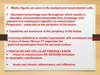  Mitotic figures are seen in the background mesenchymal cells.
 Abundant hemorrhage seen throughout, which results in
liberation of hemosiderin(insoluble form of storage iron)
pigment and subsequent ingestion by mononuclear
Phagocytes , especially at the periphery of the lesion.
 Capillaries are numerous at the periphery of the lesion.
Covering epithelium is mostly hyperplastic with occasional ulceration
A zone of dense fibrous CT seperates the
giant cell proliferation from the mucosal surface.
VASCULAR AND CELLULAR FIBROUS LESION.
 Areas of reactive bone OR OSTEOID formation
or dystrophic calcifications.
 Acute and chronic inflammatory cell infiltration.
 