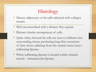 Histology
• Mature adipocytes or fat cells admixed with collagen
streaks.
• Well circumscribed with a distinct thin capsule
• Distinct lobular arrangement of cells.
• Quite often, lesional fat cells are seen to infiltrate into
surrounding tissues producing long thin extensions
of fatty tissue radiating from the central tumor mass :
infiltrating lipoma.
• When infiltrating lipoma is located within striated
muscle - intramuscular lipoma.
 