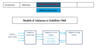 introduction Méthodes
Résultats et discussion
mémoire à court terme
Modèle d’Atkinson et Schiffrin 1968
 