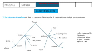 introduction Méthodes
Résultats et discussion
Mémoire à long terme
2- La mémoire sémantique est donc vu comme un réseau organisé de concepts comme indique le schéma suivant :
Animal
oiseau
vole
a des plumes
a un bec
merle
canard
jaune
chante
requin
poisson
nage
a des nageoires
a des écailles
Saumon
Arbre conceptuel de
la mémoire
sémantique adapté
d'après Collins et
QuillIan 1969.
 