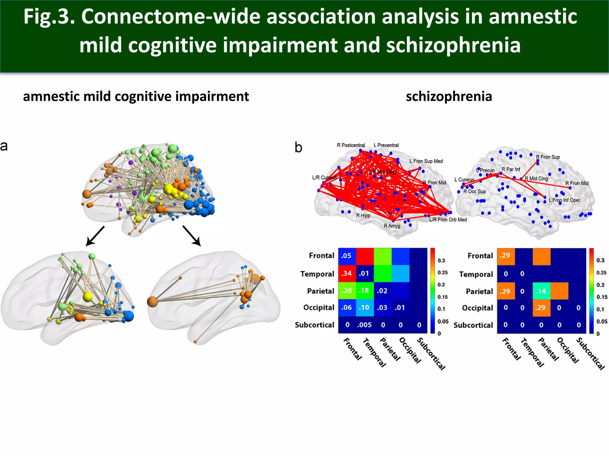 Fig.3. Connectome-wide association analysis in amnestic
mild cognitive impairment and schizophrenia
amnestic mild cognitive impairment schizophrenia
 