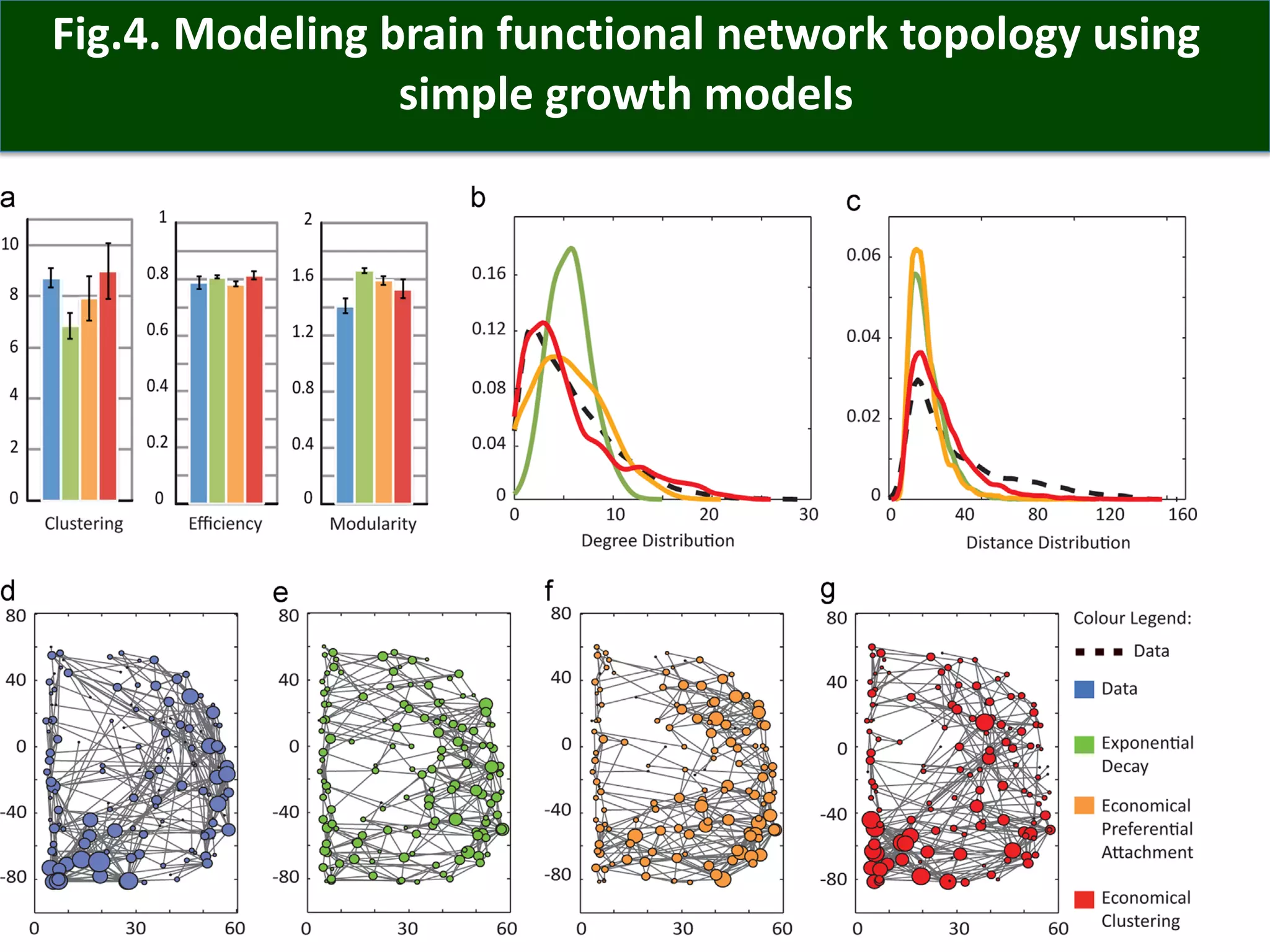 Fig.4. Modeling brain functional network topology using
simple growth models
 