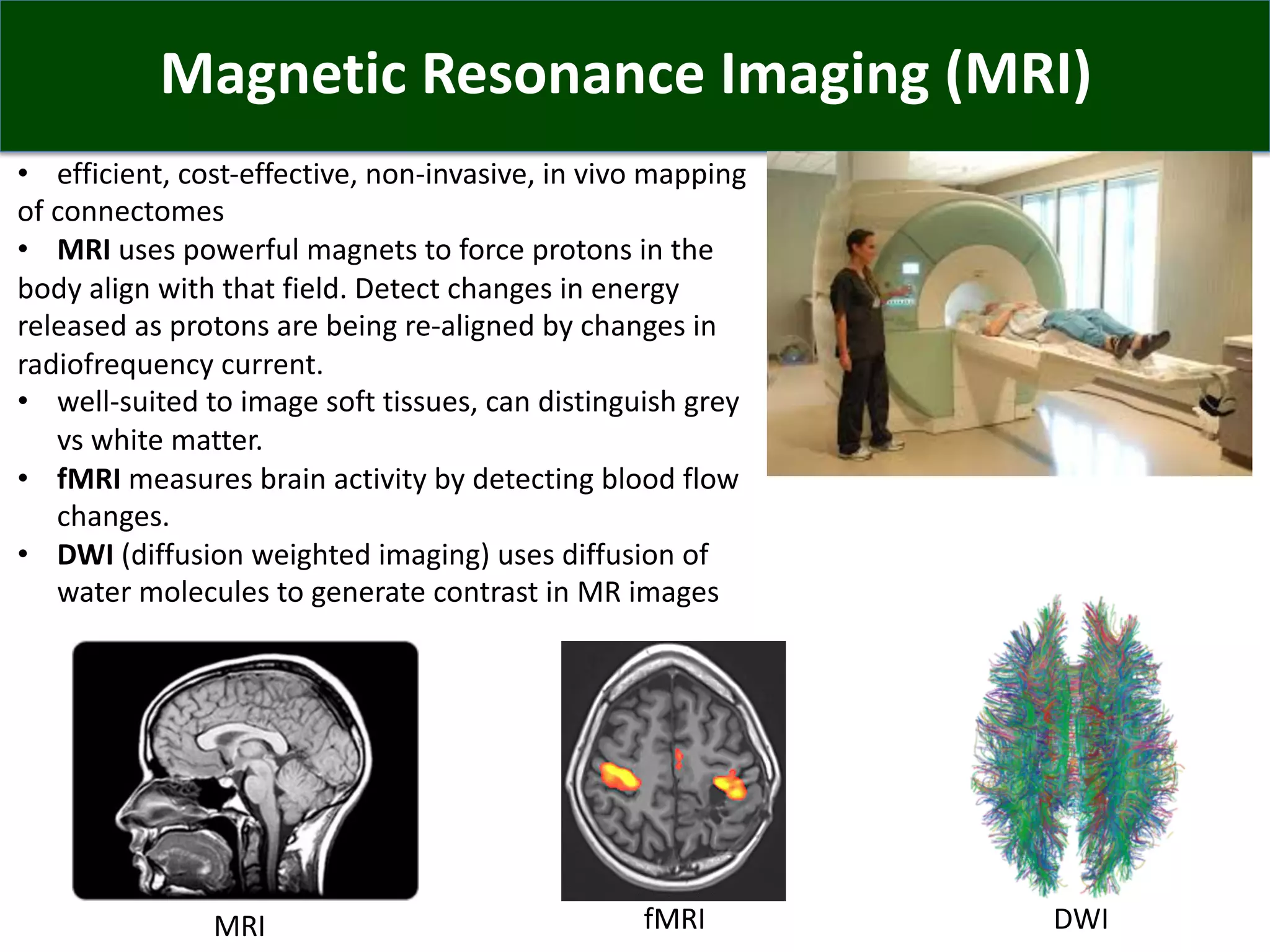 Magnetic Resonance Imaging (MRI)
• efficient, cost-effective, non-invasive, in vivo mapping
of connectomes
• MRI uses powerful magnets to force protons in the
body align with that field. Detect changes in energy
released as protons are being re-aligned by changes in
radiofrequency current.
• well-suited to image soft tissues, can distinguish grey
vs white matter.
• fMRI measures brain activity by detecting blood flow
changes.
• DWI (diffusion weighted imaging) uses diffusion of
water molecules to generate contrast in MR images
MRI fMRI DWI
 