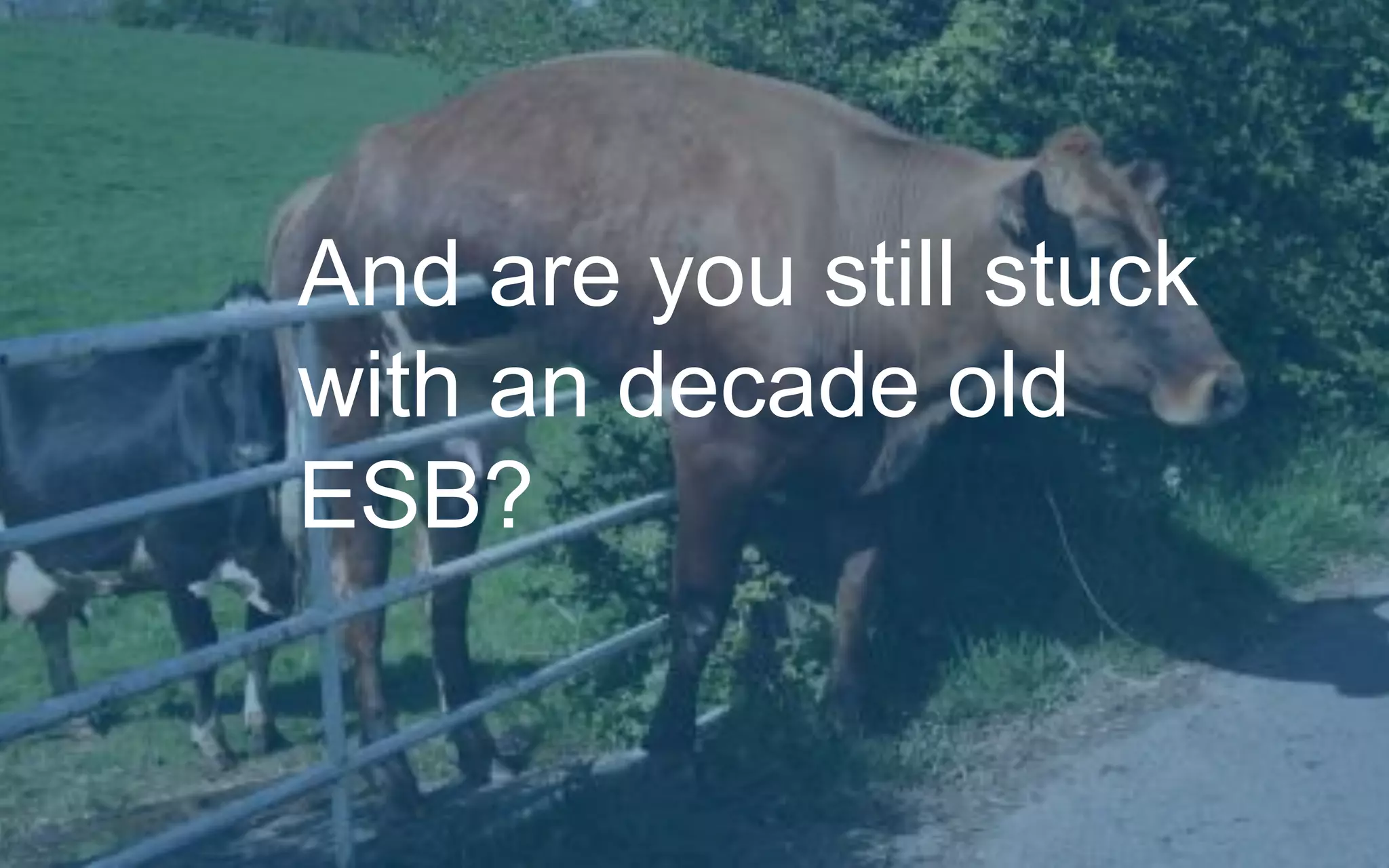 And are you still stuck
with an decade old
ESB?
 