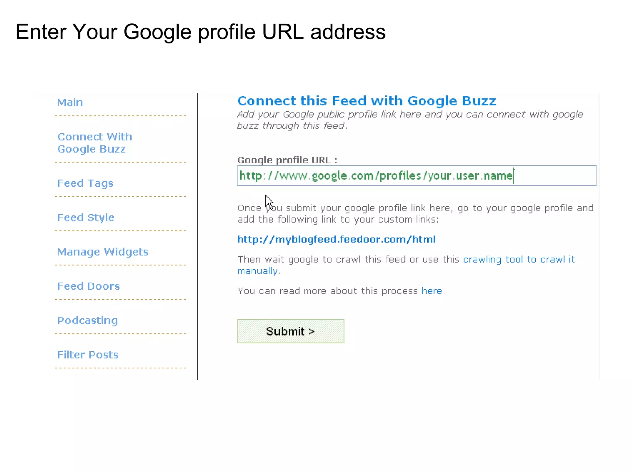 Enter Your Google profile URL address   