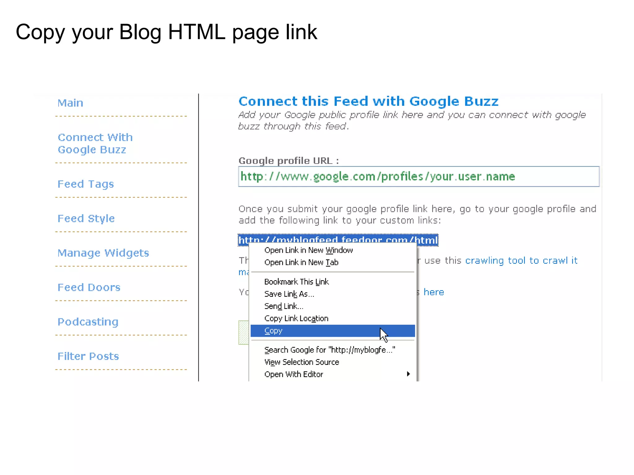Copy your Blog HTML page link   