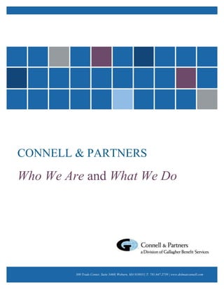 CONNELL & PARTNERS
Who We Are and What We Do




         300 Trade Center, Suite 3460| Woburn, MA 018031| T: 781.647.2739 | www.dolmatconnell.com
 