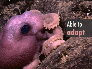 h"ps://www.ﬂickr.com/photos/27077560@N05/4813064804/	
 
Able to
adapt
 