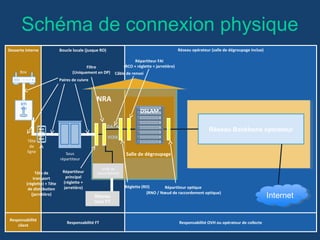 Schéma de connexion physique
NRA
Salle de dégroupage
Réseau Backbone opérateur
Responsabilité
client
Responsabilité FT Responsabilité OVH ou opérateur de collecte
DSLAM
Boucle locale (jusque RO) Réseau opérateur (salle de dégroupage inclue)Desserte interne
InternetInternet
Box
Sous
répartiteur
Tête
de
ligne
DTI
test
Paires de cuivre
Réseau
Voix FT
Unité de
raccordementTête de
transport
(réglette) + Tête
de distribution
(jarretière)
Répartiteur
principal
(réglette +
jarretière)
DATA
VOIX
Filtre
(Uniquement en DP) Câble de renvoi
Réglette (RO)
Répartiteur FAI
(RCO + réglette + jarretière)
Répartiteur optique
(RNO / Nœud de raccordement optique)
 