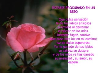 ÉXTASIS PROCURADO EN UN BESO Que dulce sensación la de tus labios ansiosos y tímidos al derramar el néctar en los míos. Instante fugaz, cautivo que puso otra luz en mi camino; luz de dulce esperanza. Ya he ganado de tus labios su calidez su dulzura y de los míos ya has ganado su ansiedad , su amor, su espera. 