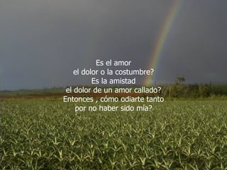 Es el amor el dolor o la costumbre? Es la amistad el dolor de un amor callado? Entonces , cómo odiarte tanto por no haber sido mía? 