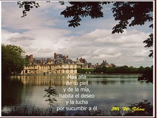 Más allá de tu piel y de la mía, habita el deseo y la lucha por sucumbir a él 