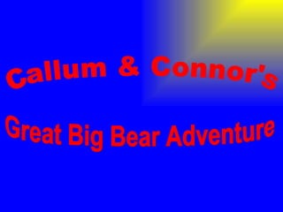 Callum & Connor's Great Big Bear Adventure 