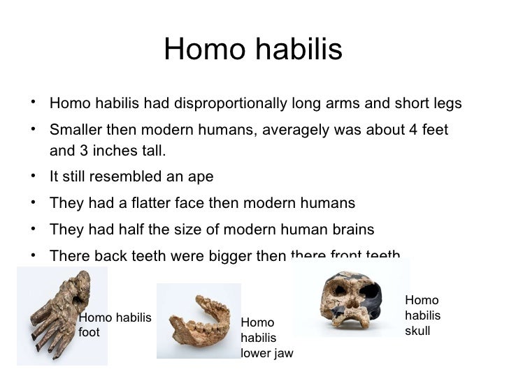 the physical characteristics of homo habilis Homo habilis - free download as physical characteristics • estimated brain capacity about 510-750 cc how does their skeleton/ skull compare to homo sapiens 7. the physical characteristics of homo habilis Homo habilis - free download as physical characteristics • estimated brain capacity about 510-750 cc how does their skeleton/ skull compare to homo sapiens 7.