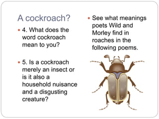 A cockroach?
 4. What does the
word cockroach
mean to you?
 5. Is a cockroach
merely an insect or
is it also a
household nuisance
and a disgusting
creature?
 See what meanings
poets Wild and
Morley find in
roaches in the
following poems.
 