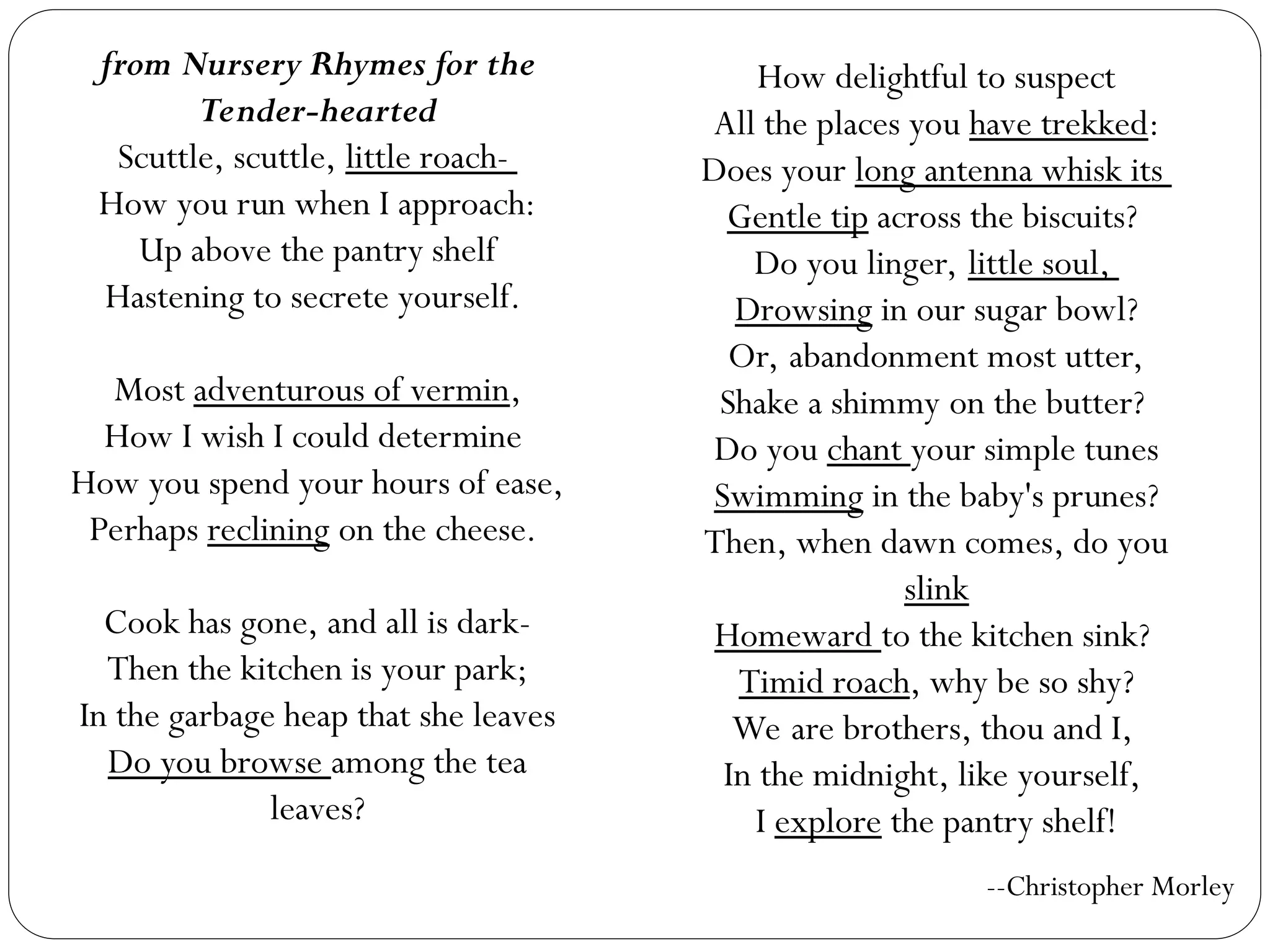 from Nursery Rhymes for the
Tender-hearted
Scuttle, scuttle, little roach-
How you run when I approach:
Up above the pantry shelf
Hastening to secrete yourself.
Most adventurous of vermin,
How I wish I could determine
How you spend your hours of ease,
Perhaps reclining on the cheese.
Cook has gone, and all is dark-
Then the kitchen is your park;
In the garbage heap that she leaves
Do you browse among the tea
leaves?
How delightful to suspect
All the places you have trekked:
Does your long antenna whisk its
Gentle tip across the biscuits?
Do you linger, little soul,
Drowsing in our sugar bowl?
Or, abandonment most utter,
Shake a shimmy on the butter?
Do you chant your simple tunes
Swimming in the baby's prunes?
Then, when dawn comes, do you
slink
Homeward to the kitchen sink?
Timid roach, why be so shy?
We are brothers, thou and I,
In the midnight, like yourself,
I explore the pantry shelf!
--Christopher Morley
 
