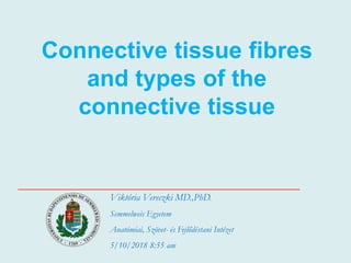 Connective tissue fibres
and types of the
connective tissue
Viktória Vereczki MD.,PhD.
Semmelweis Egyetem
Anatómiai, Szövet- és Fejlődéstani Intézet
5/10/2018 8:55 am
 