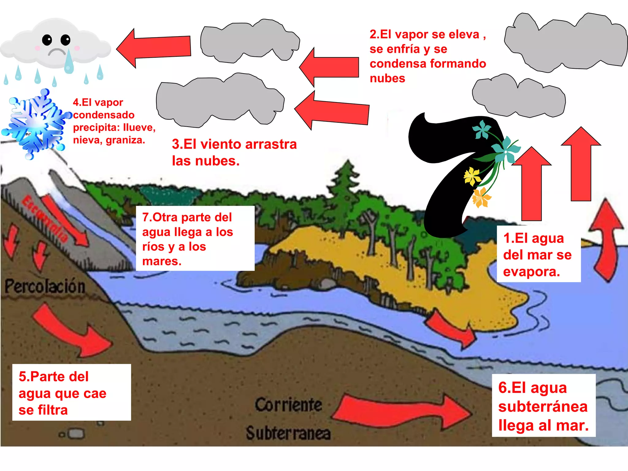 El ciclo del agua , proyecto . | PPT