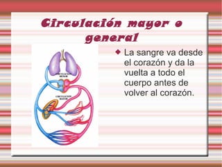 Circulación mayor o
general
 La sangre va desde
el corazón y da la
vuelta a todo el
cuerpo antes de
volver al corazón.
 