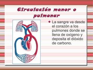 Circulación menor o
pulmonar
 La sangre va desde
el corazón a los
pulmones donde se
llena de oxígeno y
deposita el dióxido
de carbono.
 