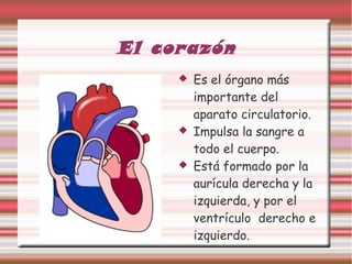 El corazón
 Es el órgano más
importante del
aparato circulatorio.
 Impulsa la sangre a
todo el cuerpo.
 Está formado por la
aurícula derecha y la
izquierda, y por el
ventrículo derecho e
izquierdo.
 