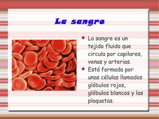 La sangre
 La sangre es un
tejido fluido que
circula por capilares,
venas y arterias.
 Está formada por
unas células llamados
glóbulos rojos,
glóbulos blancos y las
plaquetas.
 